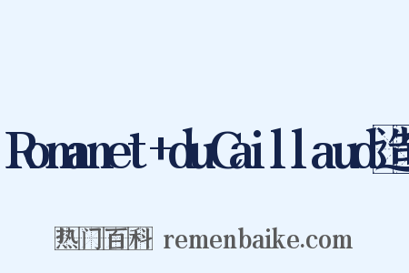 Romanet+duCaillaud造句是什么意思的图片
